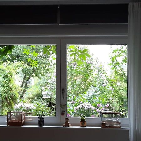 Ferienwohnung Hering In Dill Bagian luar foto