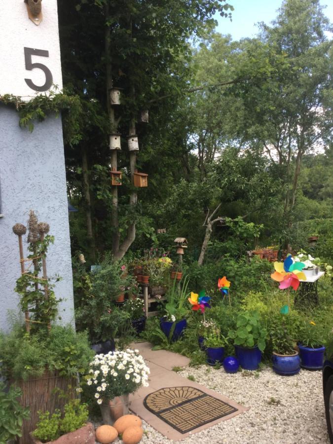 Ferienwohnung Hering In Dill Bagian luar foto