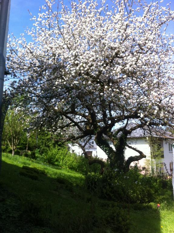 Ferienwohnung Hering In Dill Ruang foto