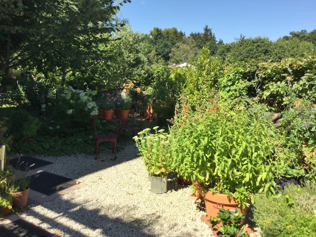 Ferienwohnung Hering In Dill Bagian luar foto