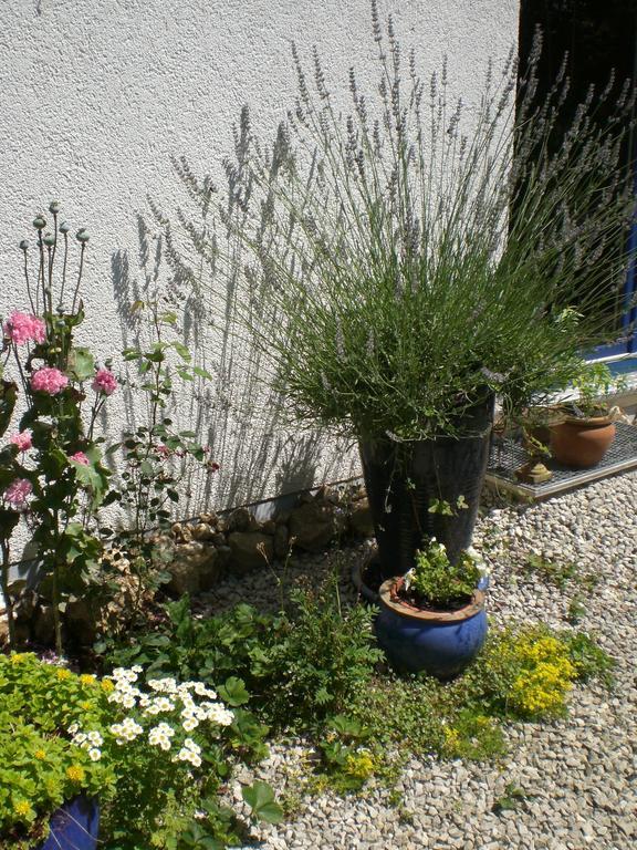 Ferienwohnung Hering In Dill Ruang foto