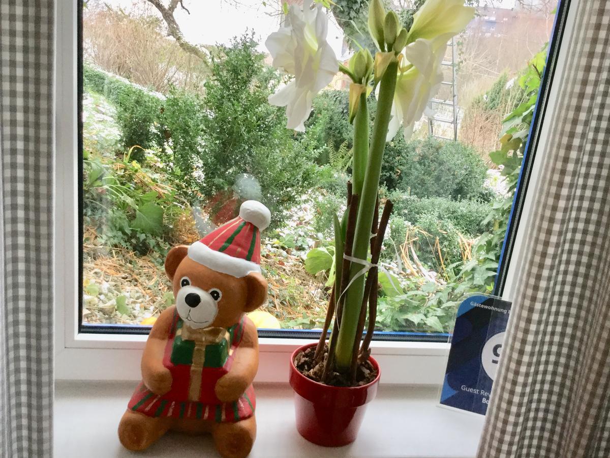 Ferienwohnung Hering In Dill Bagian luar foto